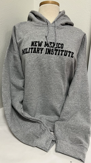 Picture of Hoodie NMMI Text - Grey
